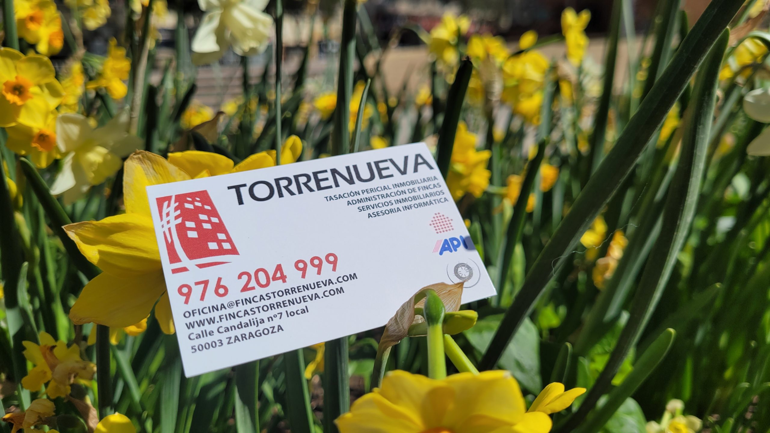 Fincas Torrenueva, tu inmobiliaria en Zaragoza